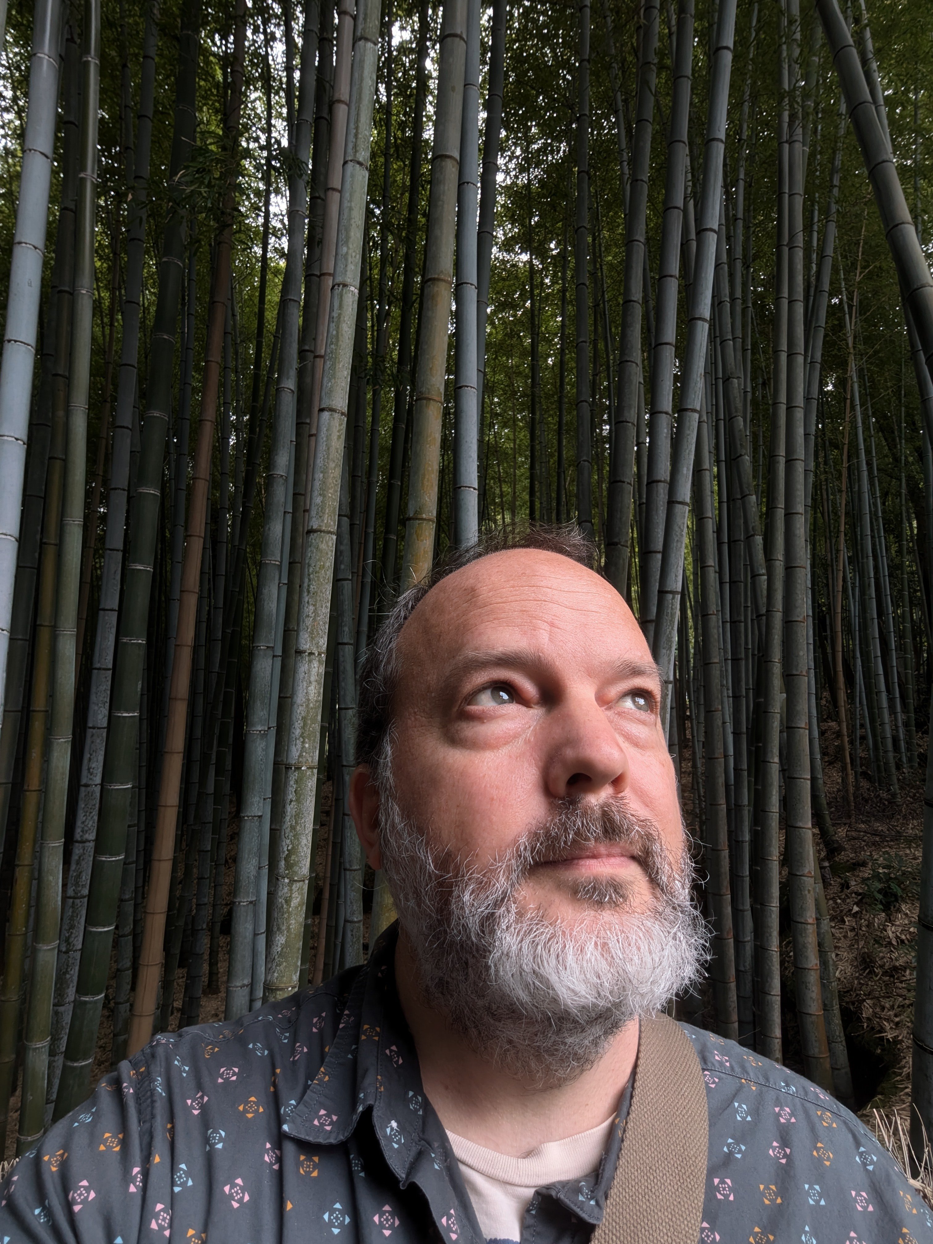 Mike Steinhoff in Japan